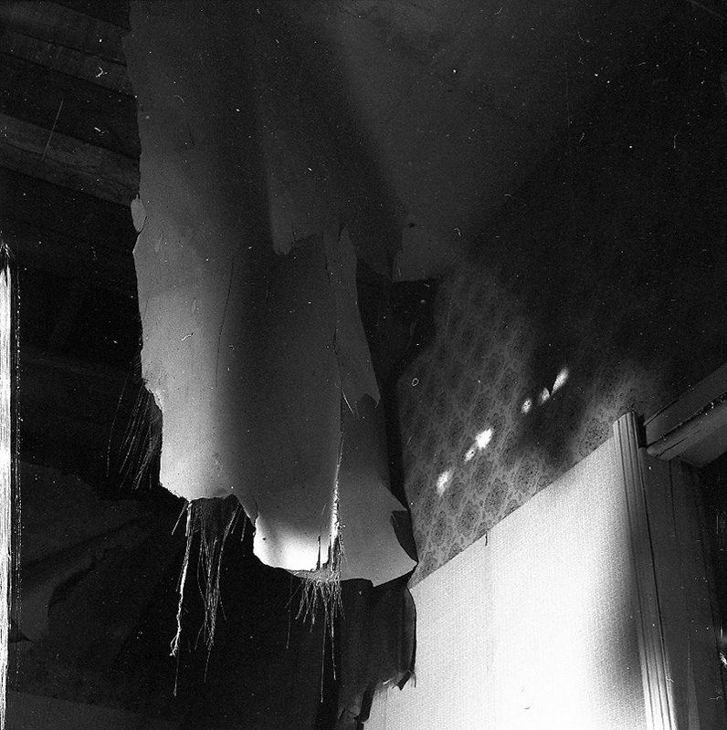 e. No 1 Milne Terrace