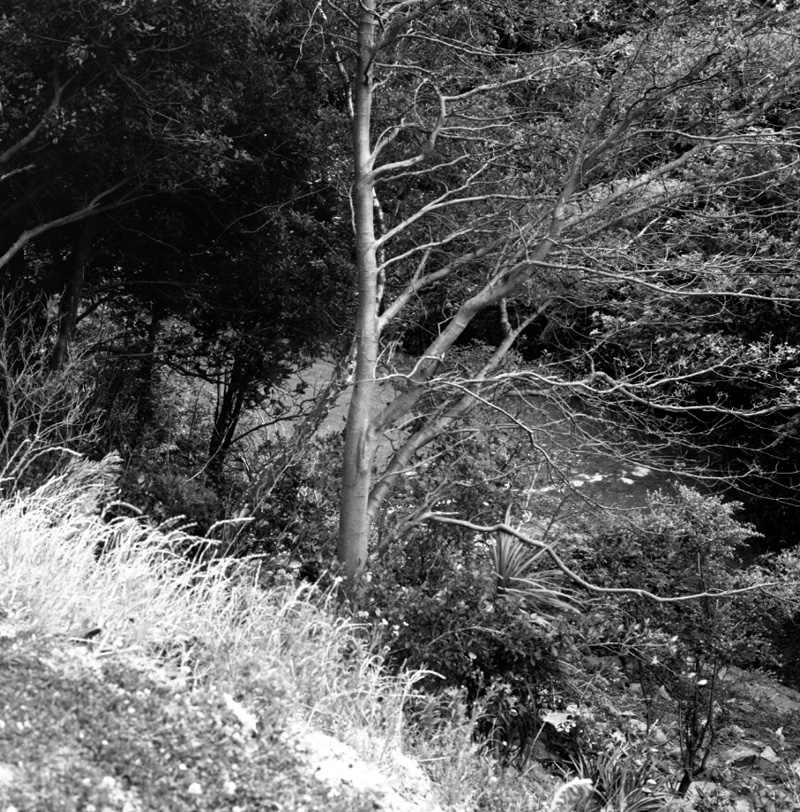 m. Flats, Open Space Surrounding