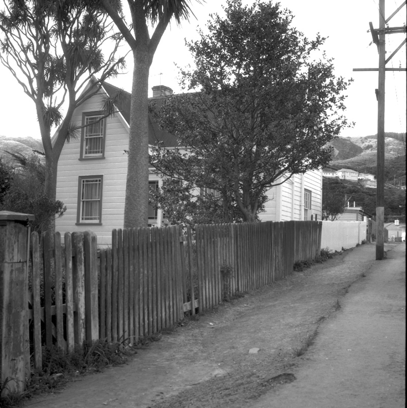 a. John Chew's Home, Ottawa Road, [Ngaio]