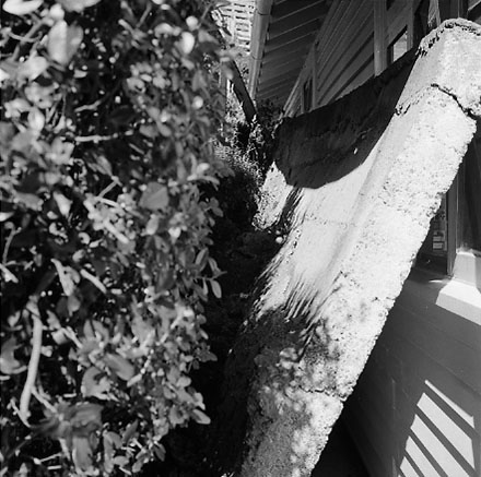 g. Views of dwelling that has been affected by a slip. Concrete retaining wall has fallen over against the house