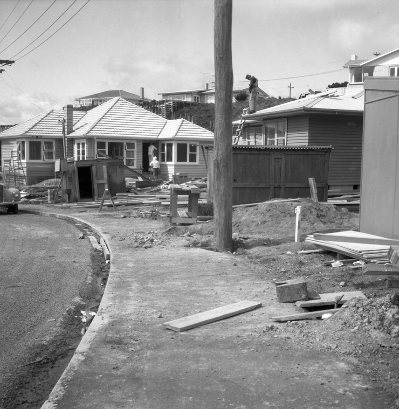 b. Kahikatea Grove [Paparangi]