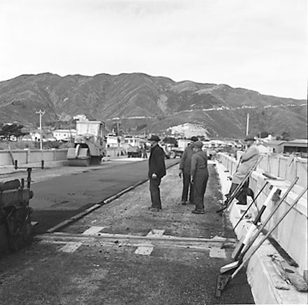 e. Construction of new Pipe Bridge, Petone Foreshore