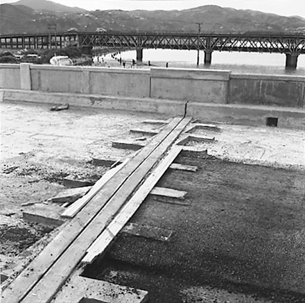 f. Construction of new Pipe Bridge, Petone Foreshore