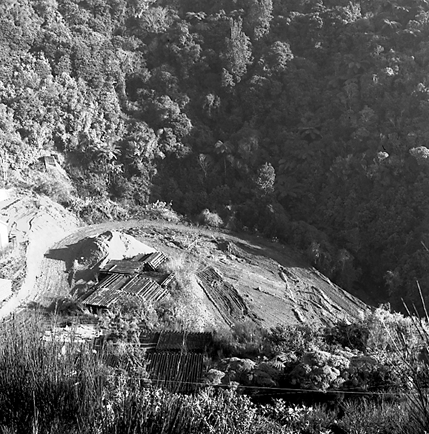 a. Elevated view of area where timber is stacked