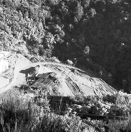 b. Elevated view of area where timber is stacked