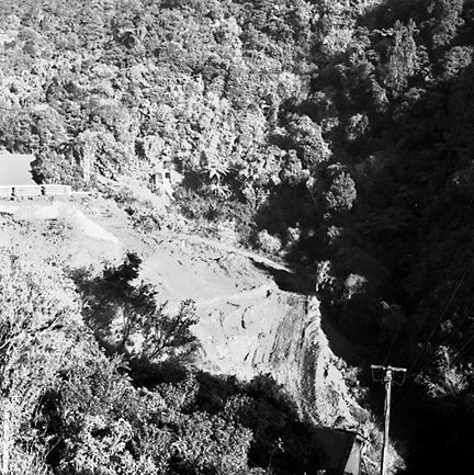 c. Elevated view of area where timber is stacked