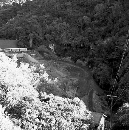 d. Elevated view of area where timber is stacked