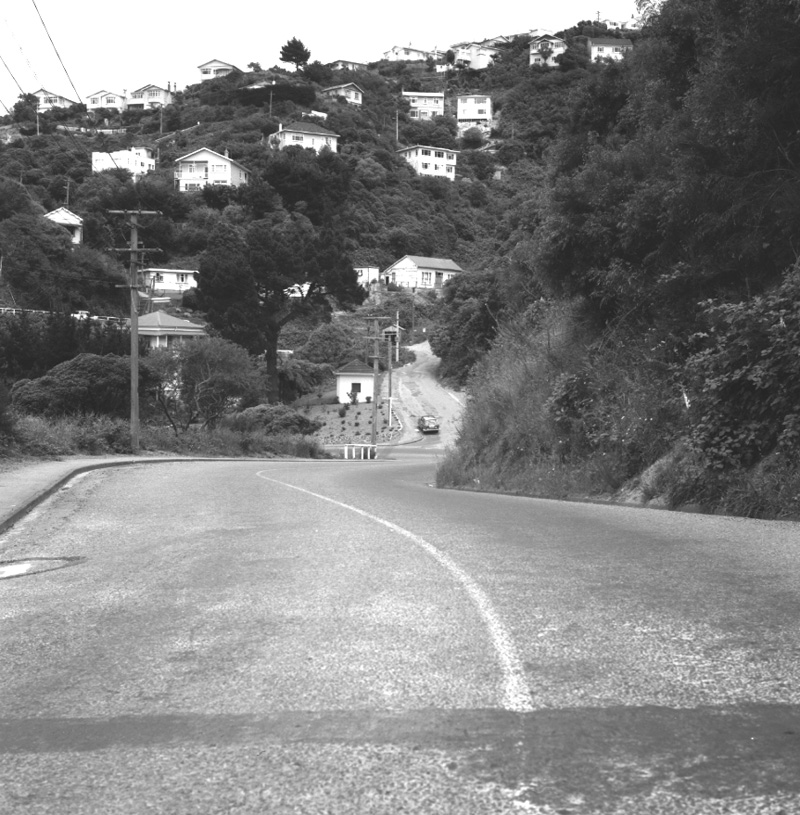 f. Raroa Road