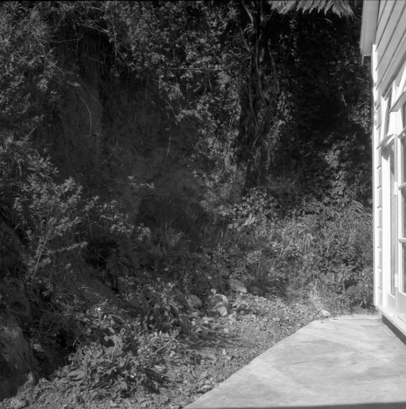 i. Drainage, Curtis Street