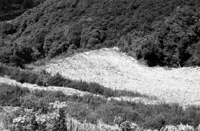 aa. Chartwell Estate, Burma Road