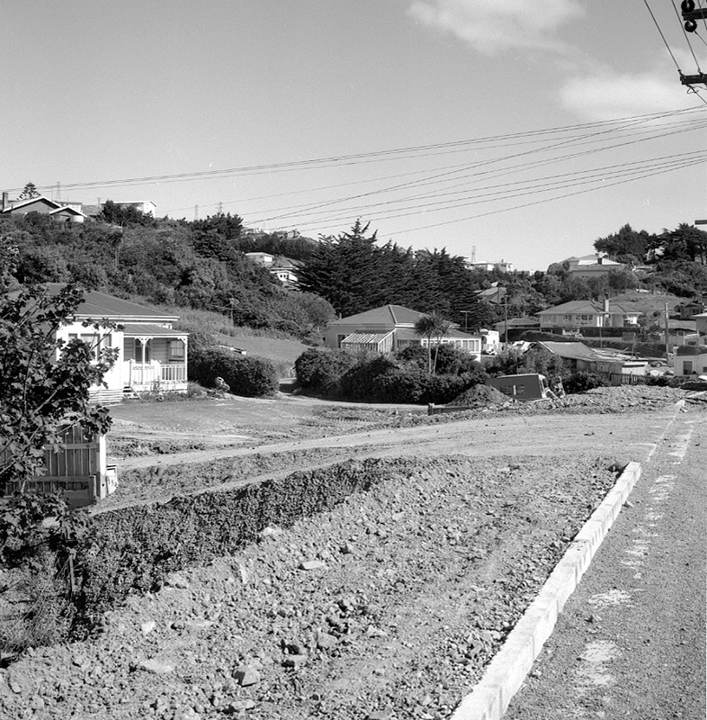 b. No 136 Newlands Road