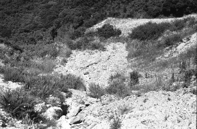 v. Chartwell Estate, Burma Road