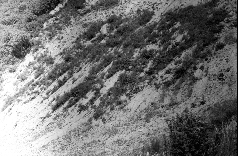 y. Chartwell Estate, Burma Road