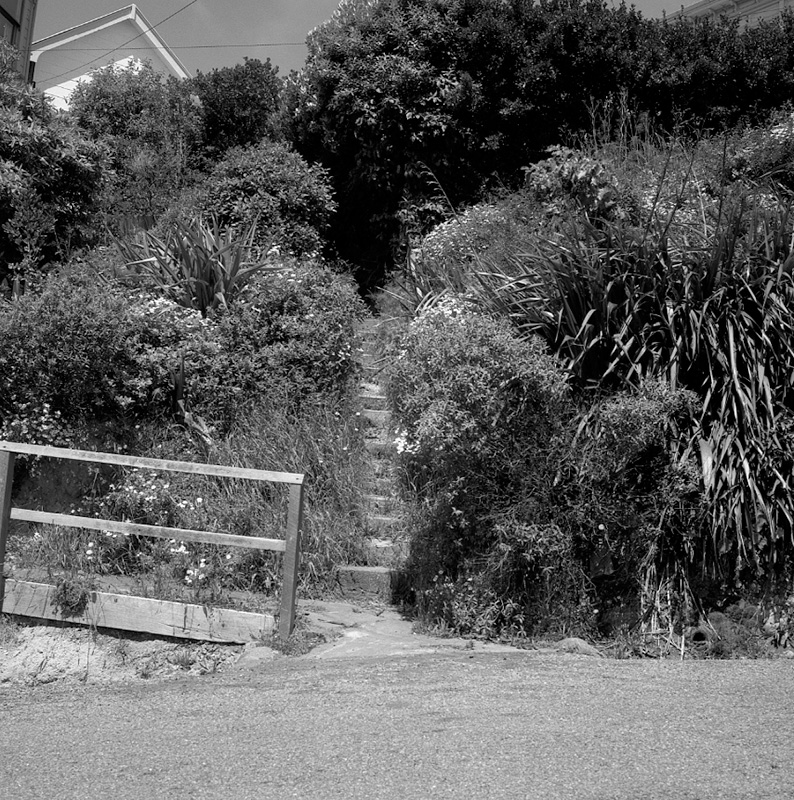 b. No 23 Dorking Road