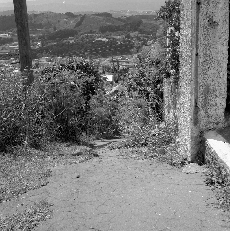 d. No 23 Dorking Road