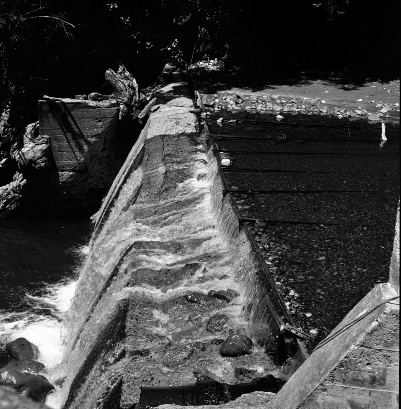 d. Waterworks, Orongorongo, Wainui