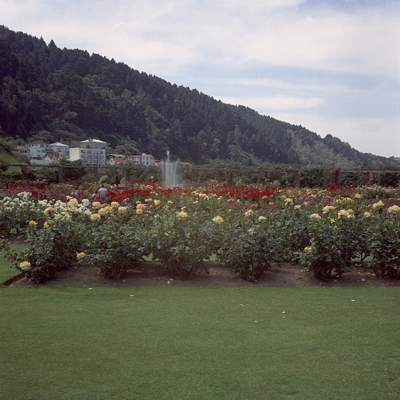 a. Botanical Gardens