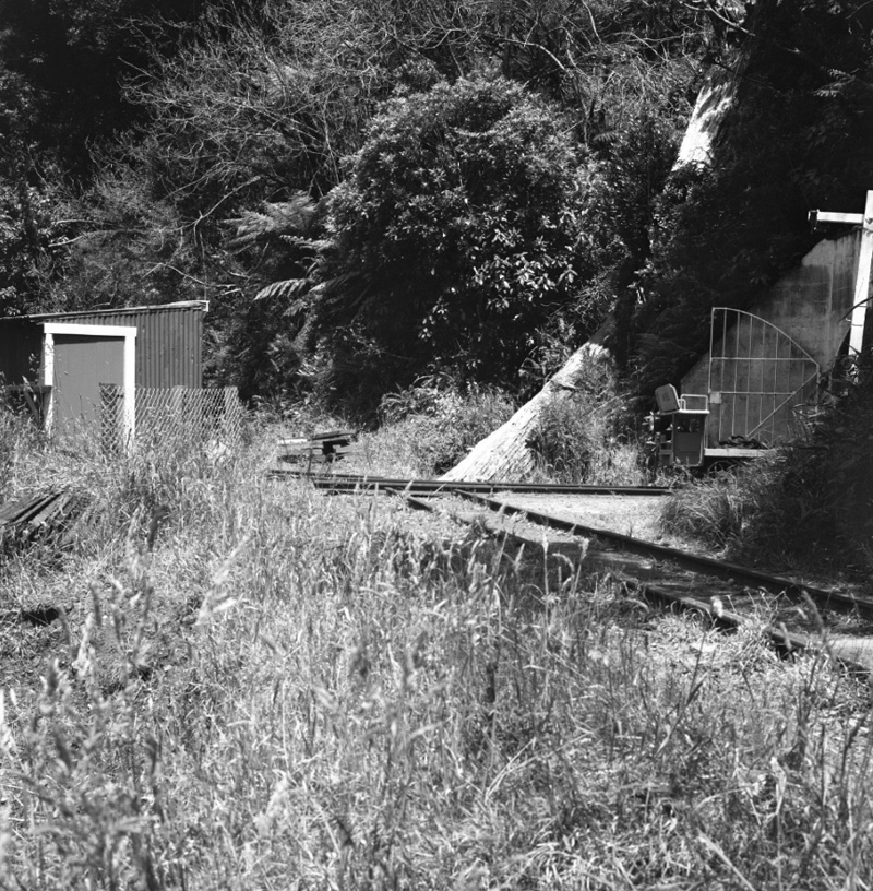 i. Waterworks, Orongorongo, Wainui