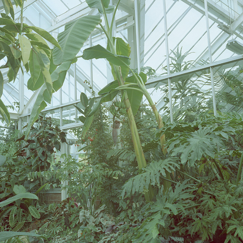 b. Botanical Gardens