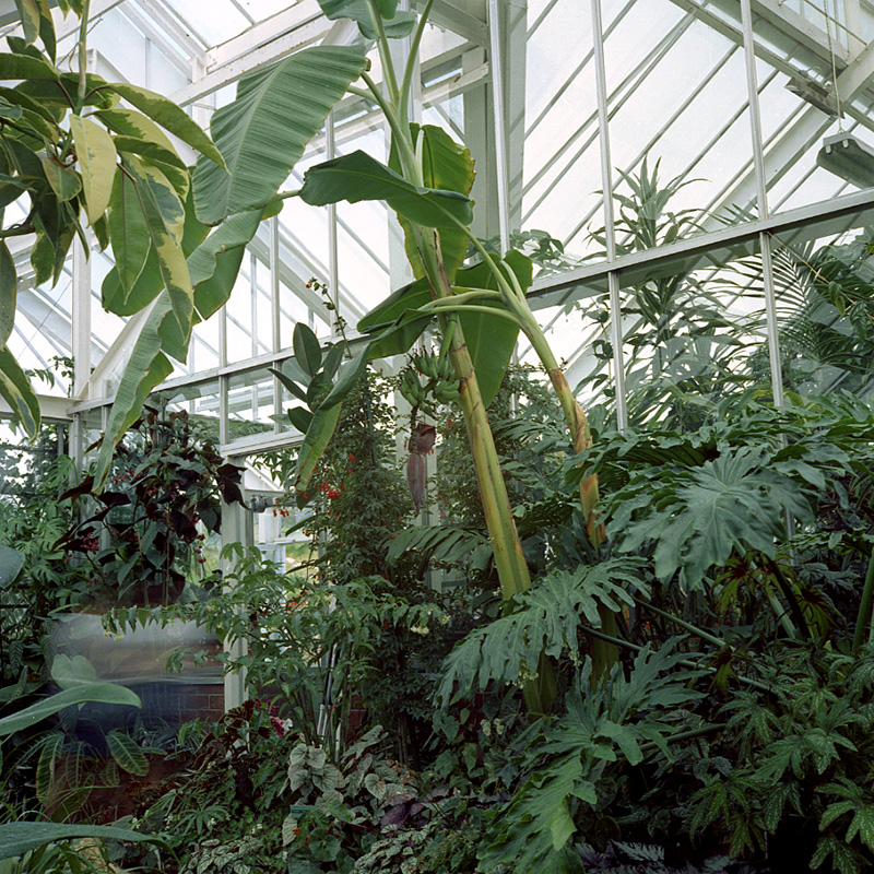 c. Botanical Gardens