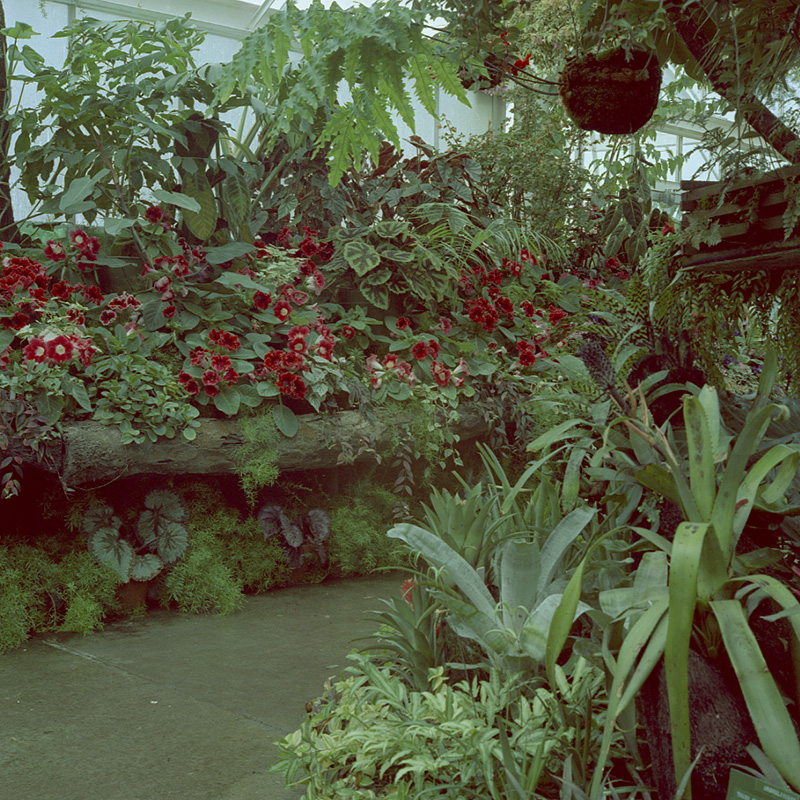 d. Botanical Gardens