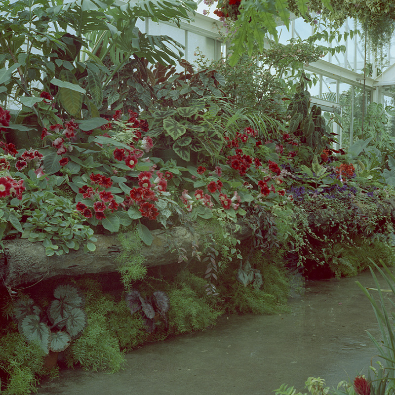 e. Botanical Gardens