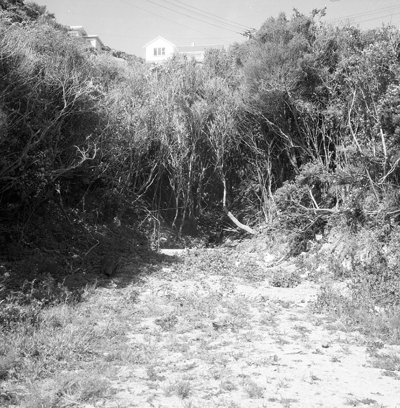 i. Cecil Road (F. Miles)