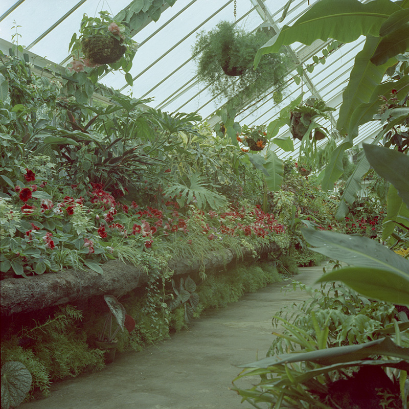 g. Botanical Gardens