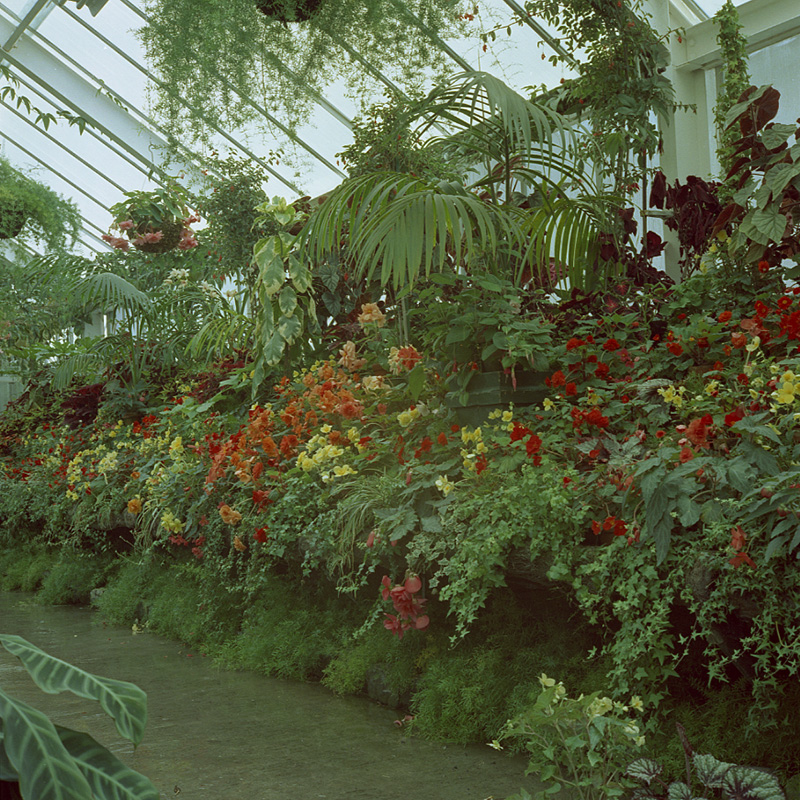 h. Botanical Gardens