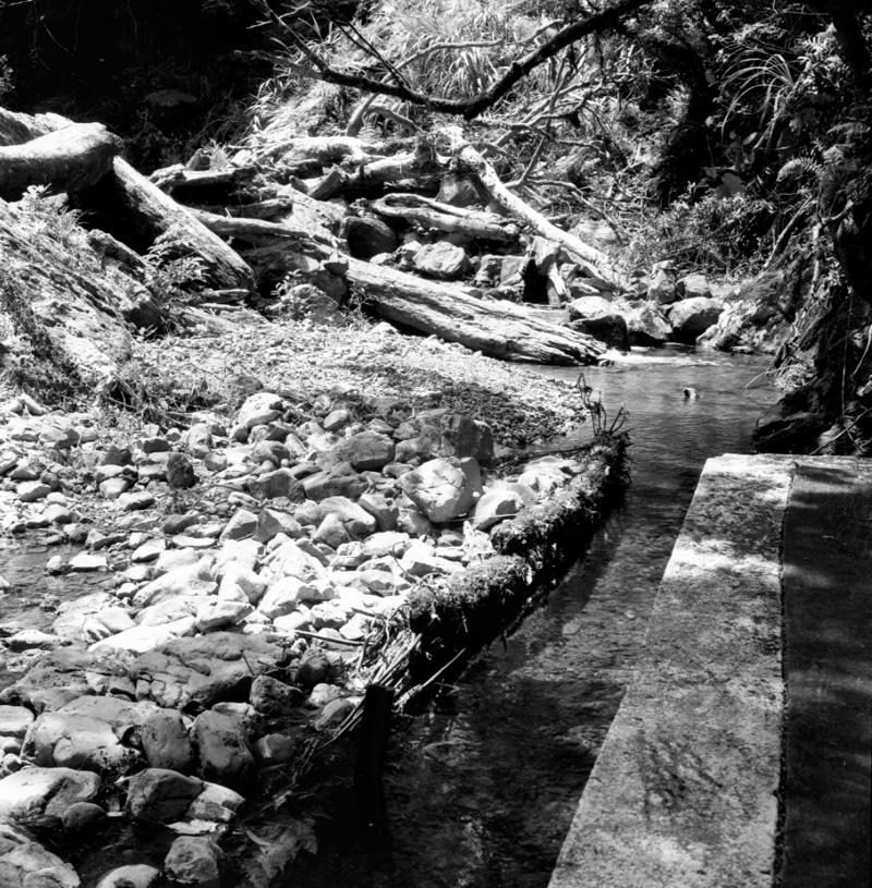 p. Waterworks, Orongorongo, Wainui
