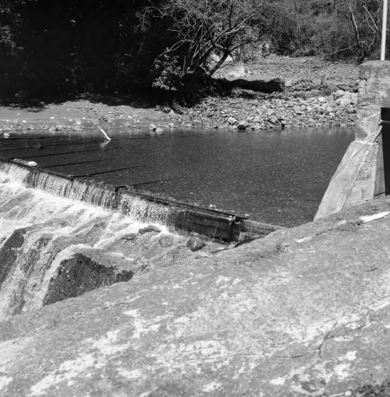 v. Waterworks, Orongorongo, Wainui