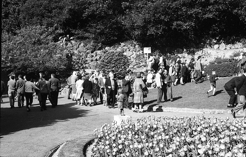aa. Tulip Sunday, Botanic Garden