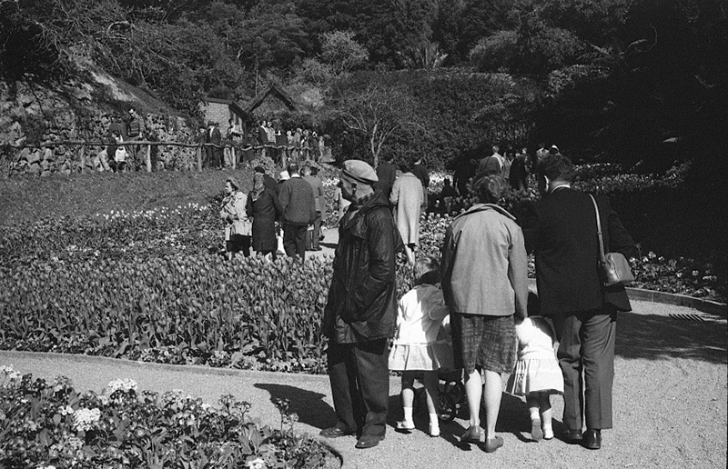 ab. Tulip Sunday, Botanic Garden
