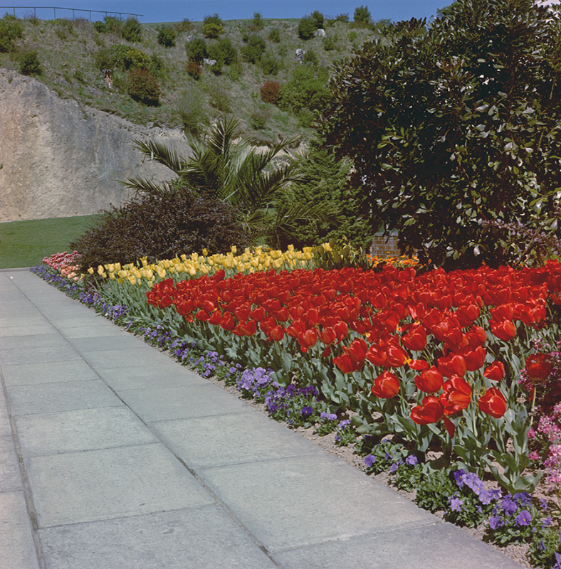 v. Botanical Gardens