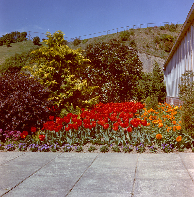 w. Botanical Gardens