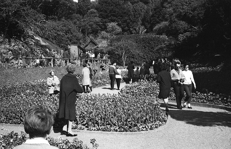 ad. Tulip Sunday, Botanic Garden