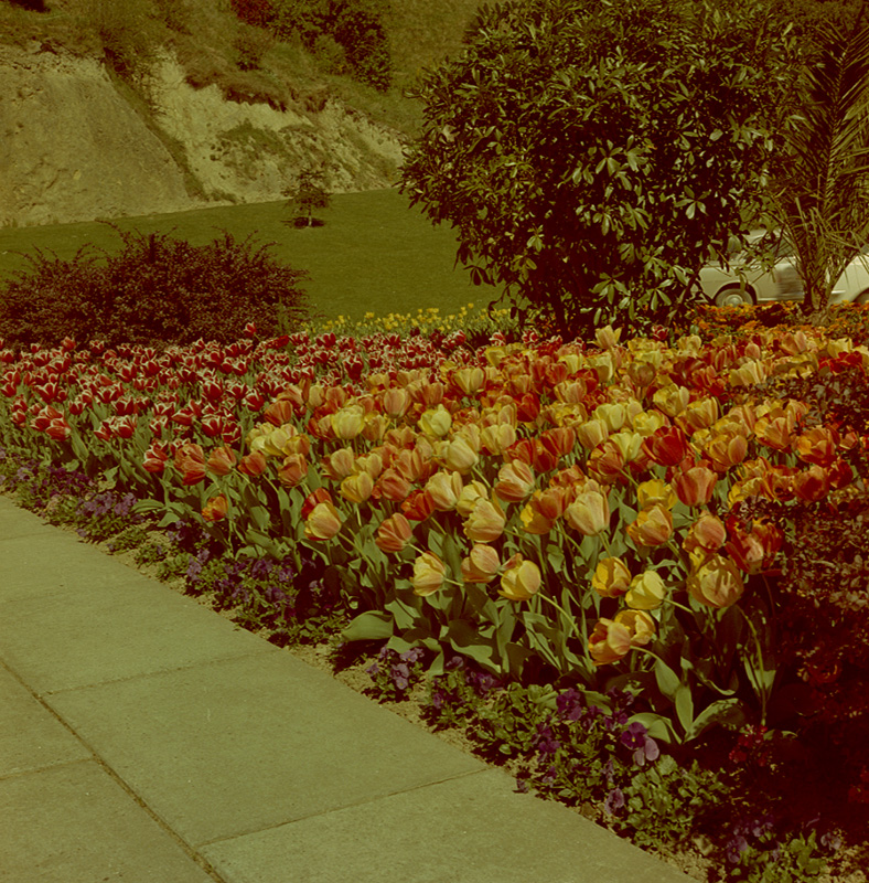 x. Botanical Gardens