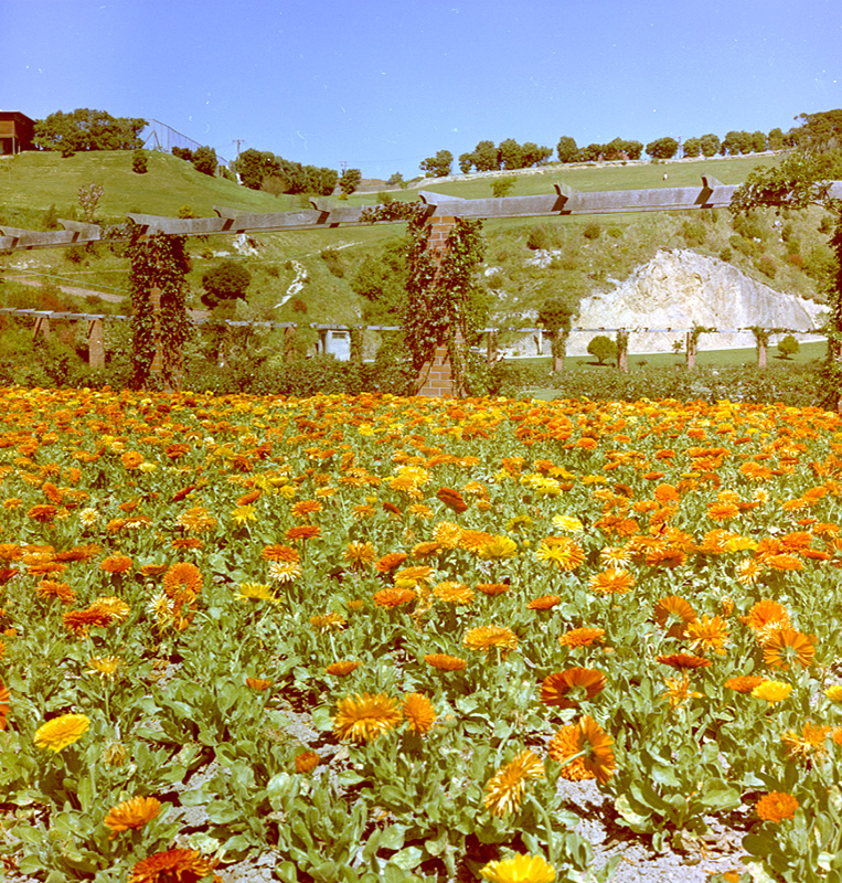 z. Botanical Gardens