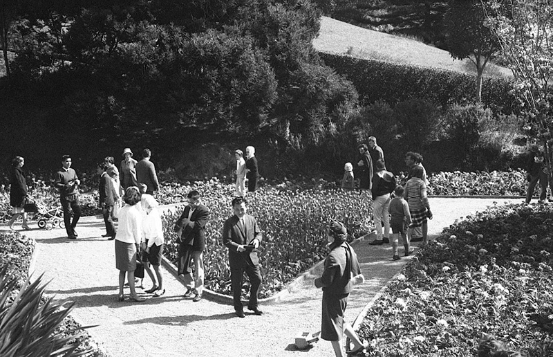 ah. Tulip Sunday, Botanic Garden