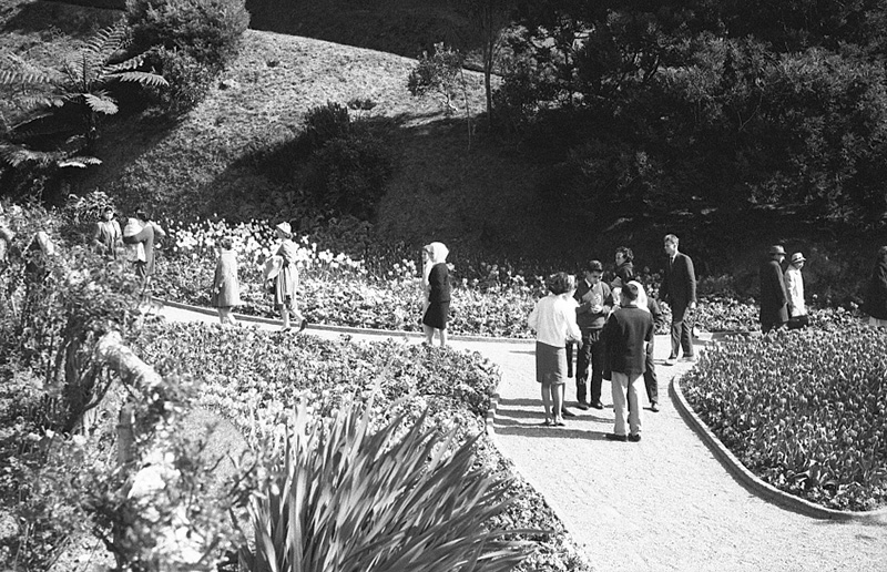 ai. Tulip Sunday, Botanic Garden