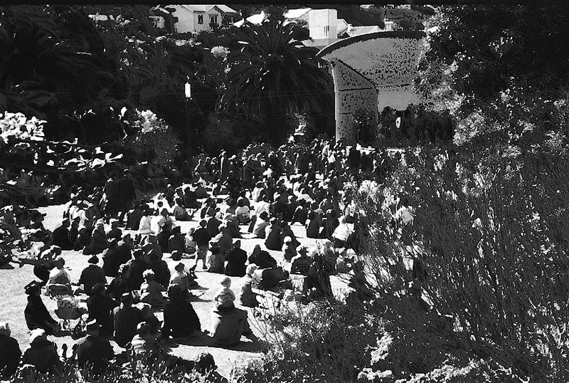 b. Tulip Sunday, Botanic Garden