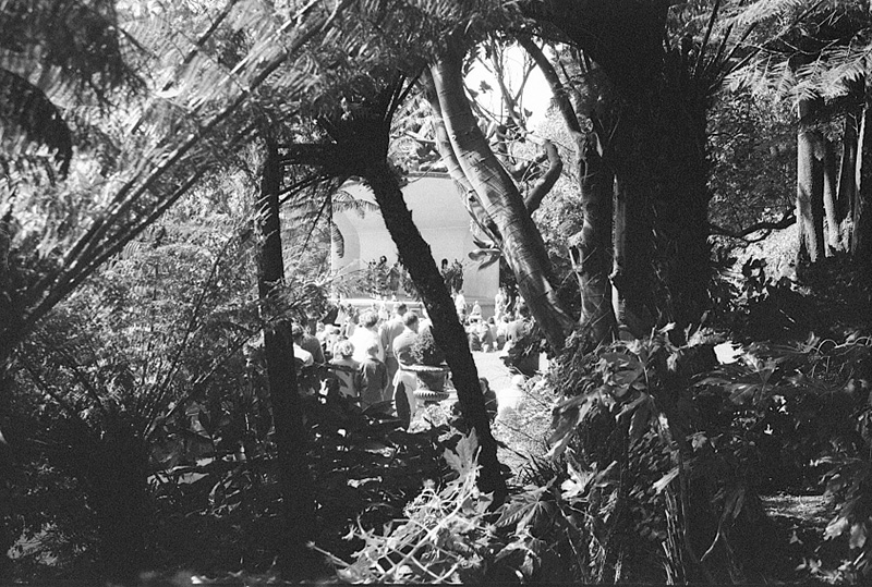 e. Tulip Sunday, Botanic Garden