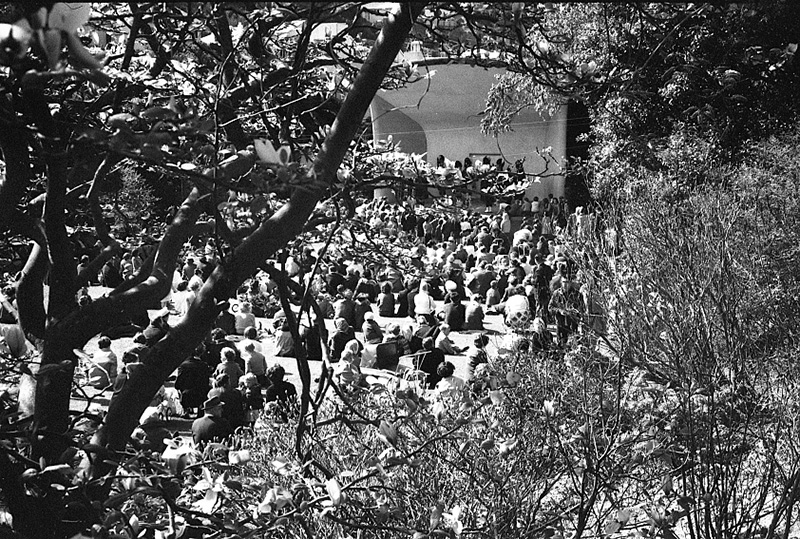 l. Tulip Sunday, Botanic Garden