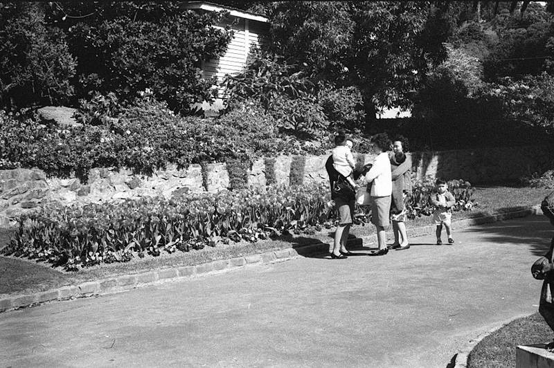 m. Tulip Sunday, Botanic Garden