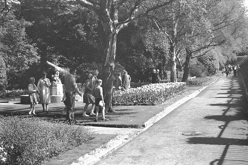 n. Tulip Sunday, Botanic Garden