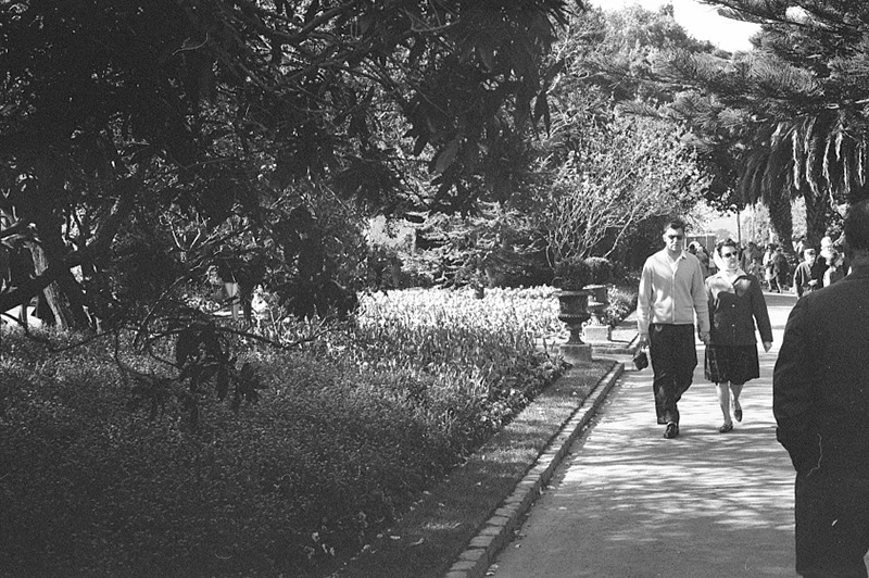 p. Tulip Sunday, Botanic Garden