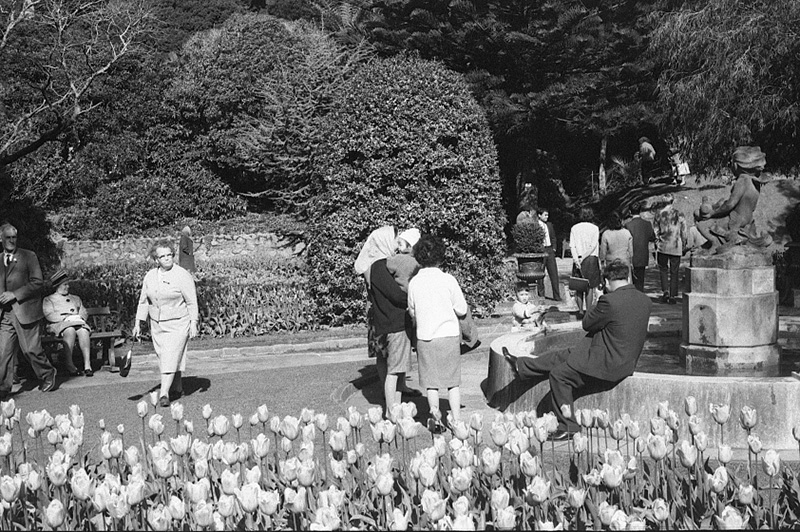 s. Tulip Sunday, Botanic Garden