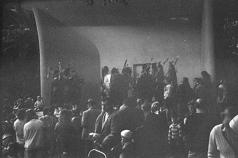 t. Tulip Sunday, Botanic Garden