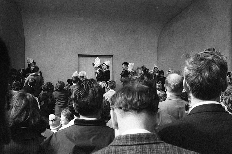 v. Tulip Sunday, Botanic Garden