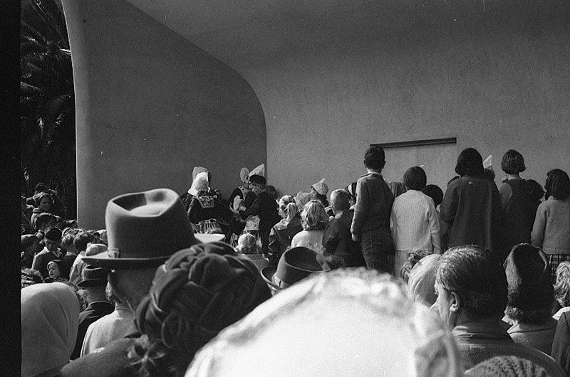 w. Tulip Sunday, Botanic Garden